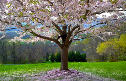 용산 정비창 개발 핵심 전략 총정리
