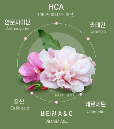 무궁핏 성분