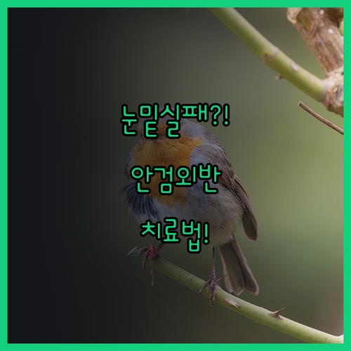 눈밑 수술 후 안검외반 발생시 치료 ..