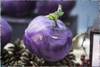 콜라비 효능