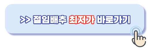 절임배추 최저가