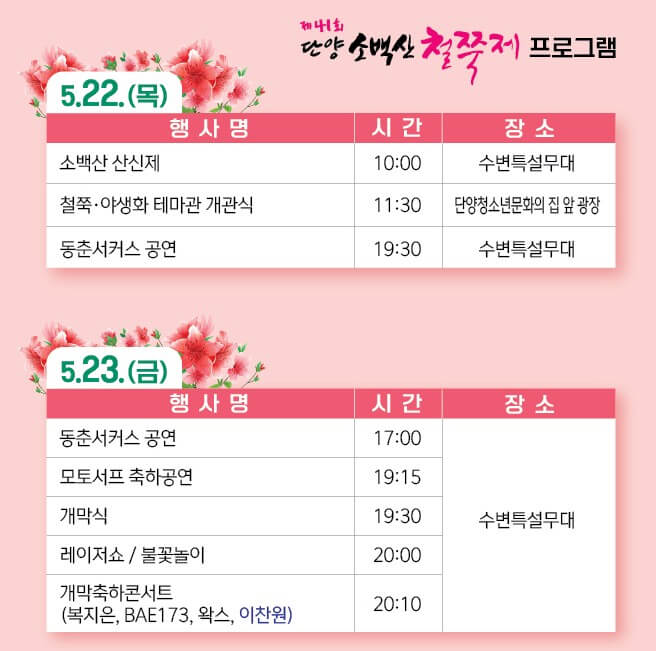 2025 단양 소백산 철쭉제: 봄의 절정을 만나는 시간