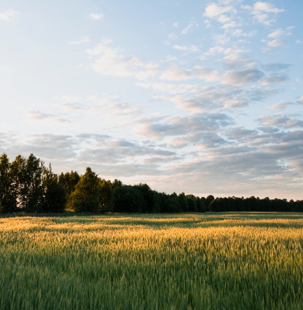 2024 재산세 납부기간 및 납부방법 알아보기!