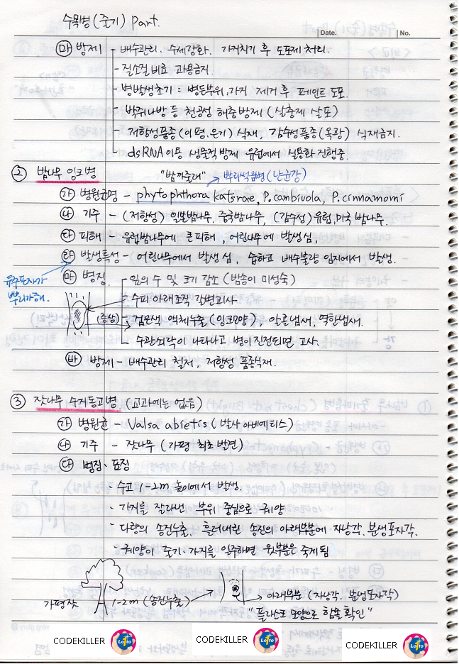 밤나무잉크병, 잣나무수지동고병