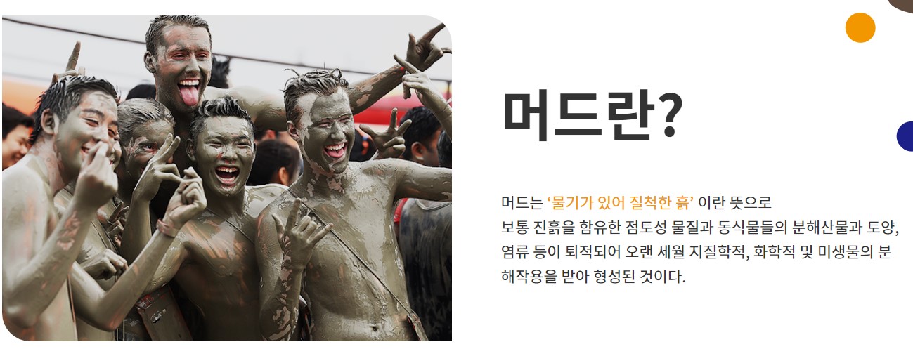 보령머드축제 기본정보 티켓 예매 라인업