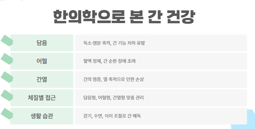 한의학으로 본 간 건강