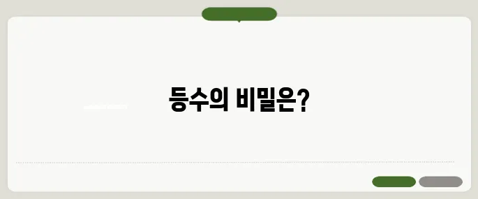 로또 당첨 번호 5개 맞으면 몇등?