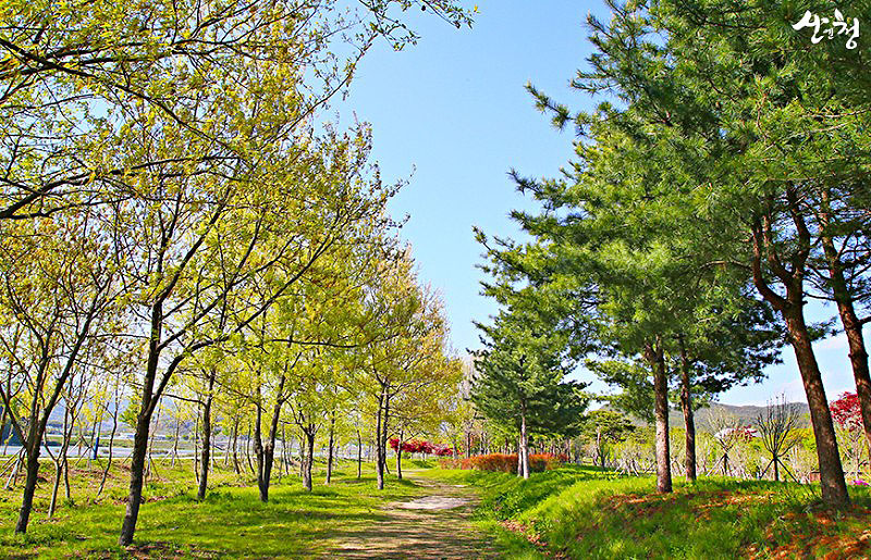 경상남도 산청군 단성묵곡파크골프장 소개