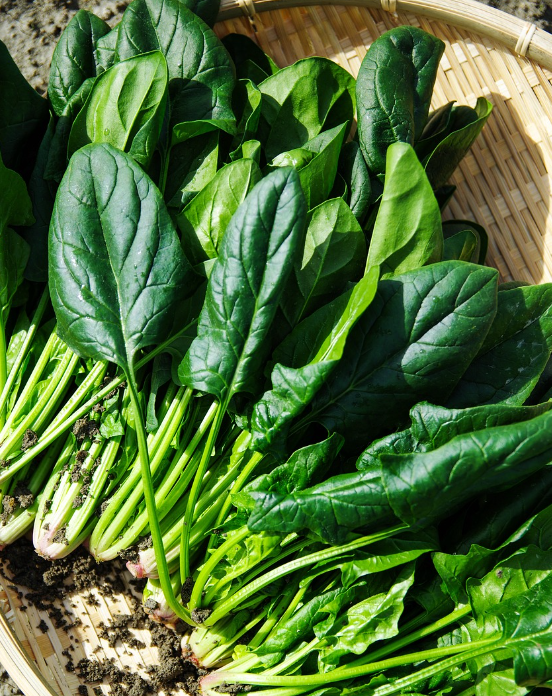 겨울철 부정맥 질환 위험성과 예방법