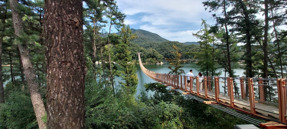 파주 출렁다리 사진