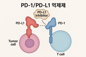 암치료 면역요법