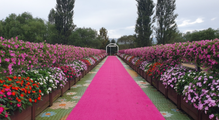 자라섬 꽃 페스타