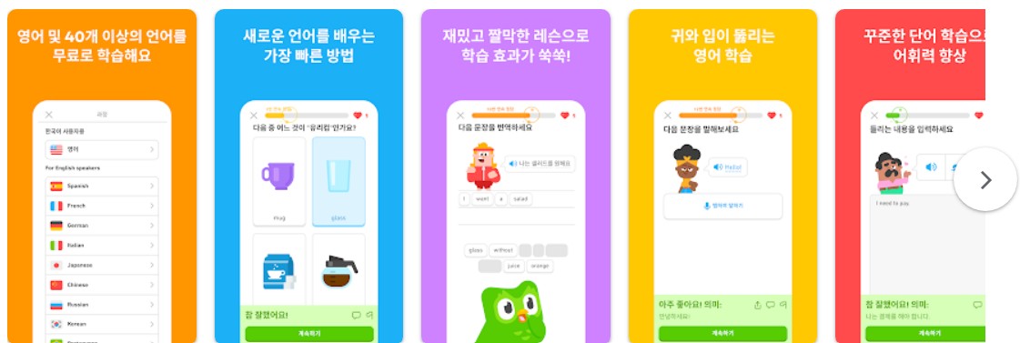 듀오링고앱 기능