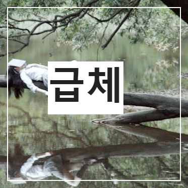 나무위에서 휴식하는 여자