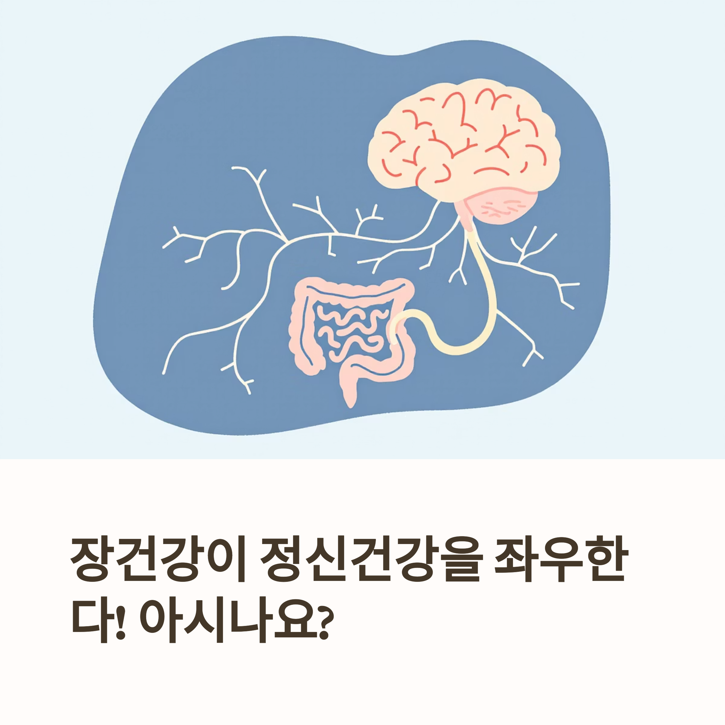 장 활성화 비법