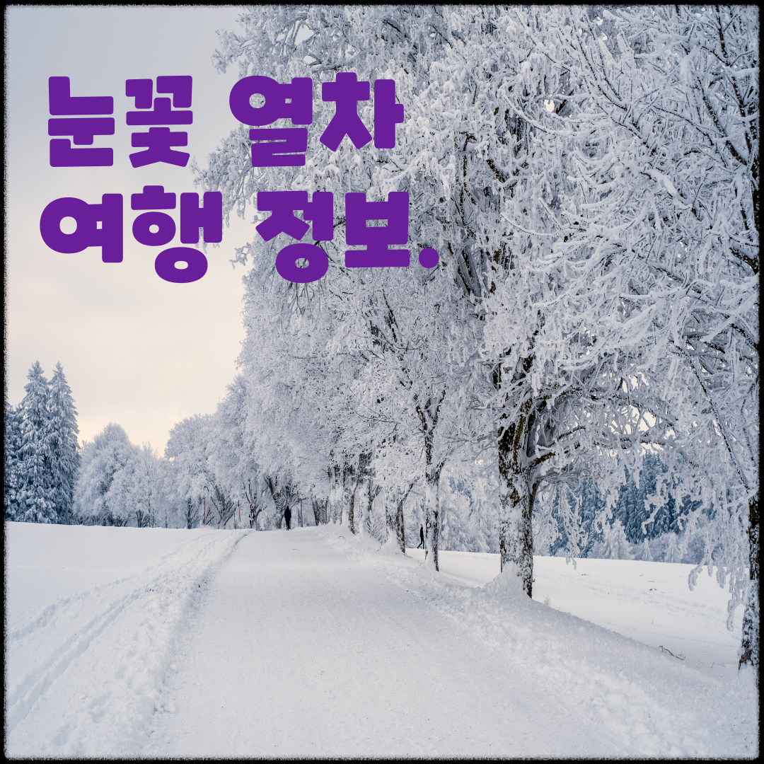 겨울철 핫한 여행 트렌드: 눈꽃 열차 여행