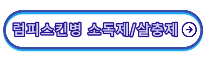 럼피스킨병