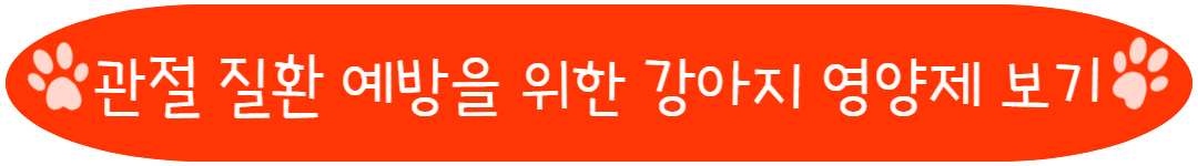 강아지 관절 영양제