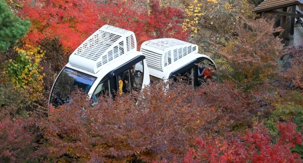 화담숲 모노레일 사진 2