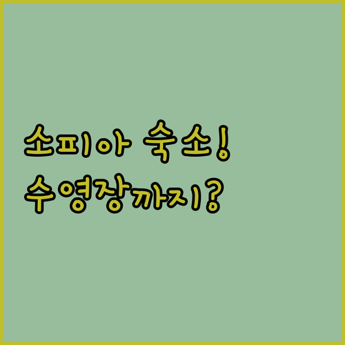 불가리아 소피아 숙소 추천 5곳 위치..
