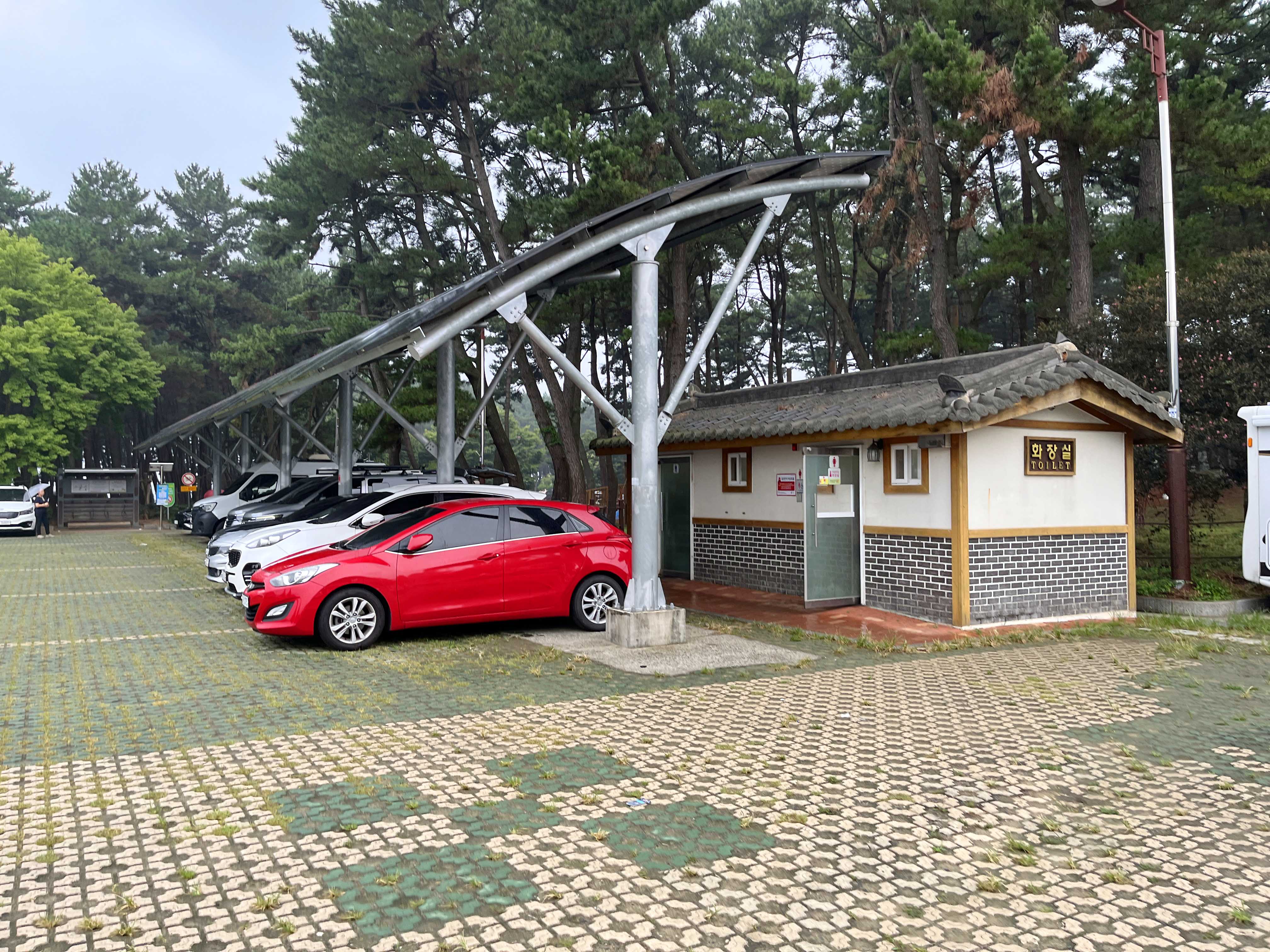 장항 맥문동 축제