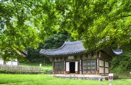 공주 알밤체험 