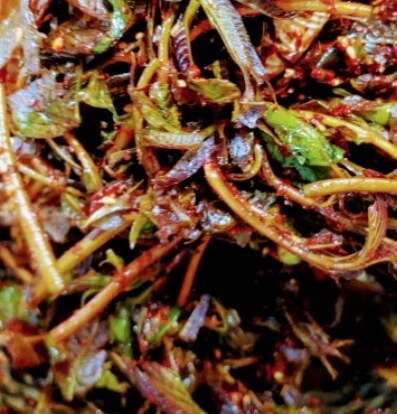 가죽나물고추장장아찌 만드는법