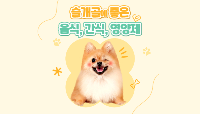 슬개골 탈구 막는 음식&middot;간식&middot;영양제, 이건 꼭 챙기세요! 관련 사진