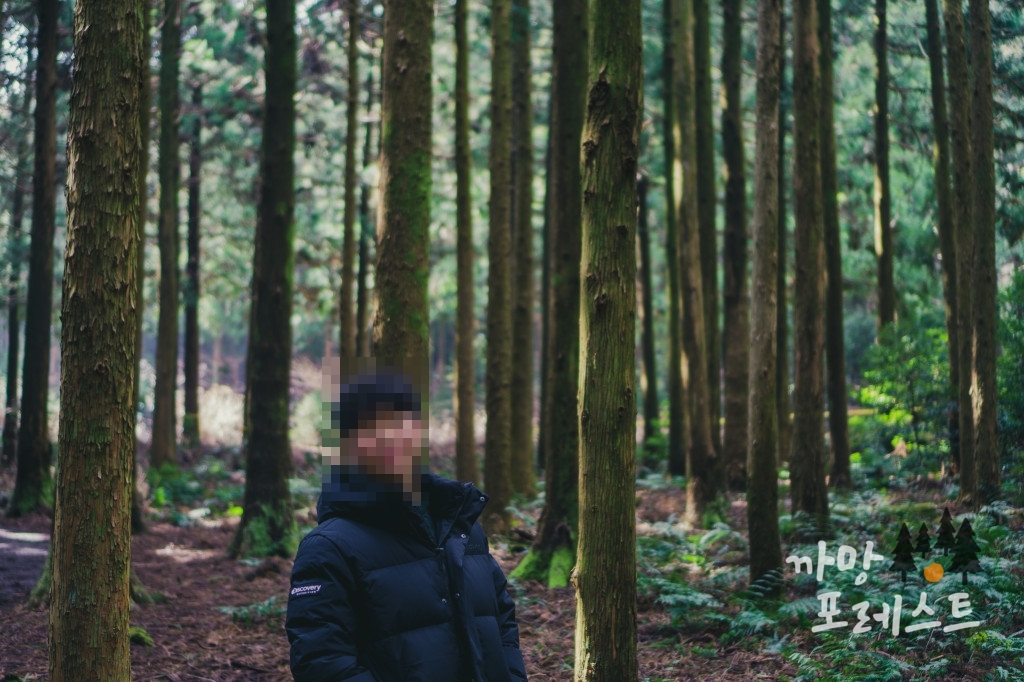 사려니숲길 포토존