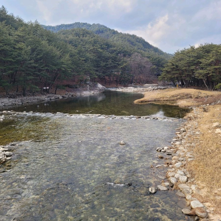 수승대