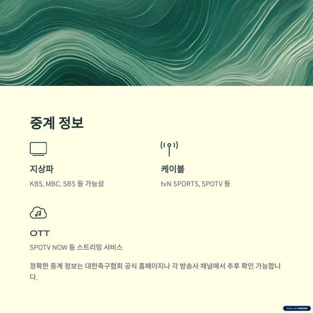 한국 축구 미국 멕시코 원정 평가전