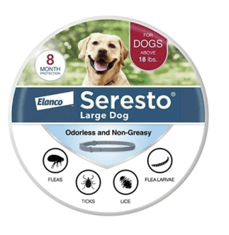 세라스토목걸이