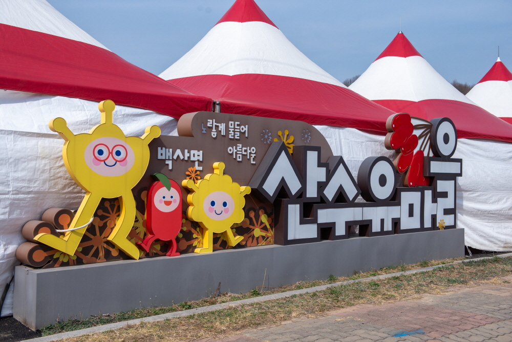 제26회 이천백사산수유꽃축제 일정 & 프로그램 안내/ 주차 안내