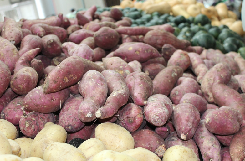 고구마 다이어트와 관련된 사진