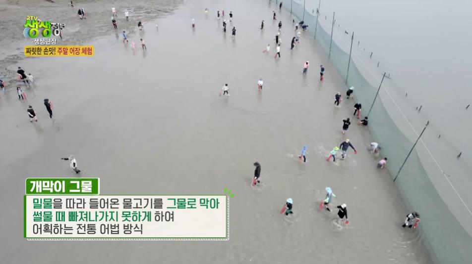생생정보스페셜 주말어장체험 개막이그물