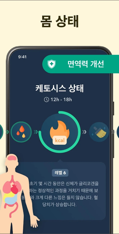 단식 어플, 간헐적 단식, 단식 타이머, 단식 추적기