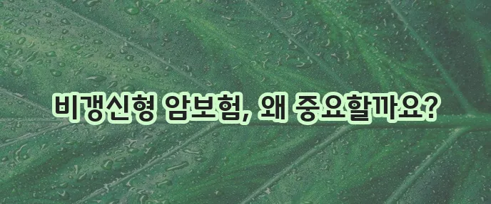 암보험 비교 사이트로 비갱신형 암보험 준비해야 합니다