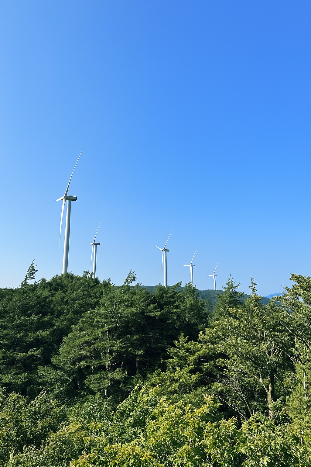 강원도 태기산 사진