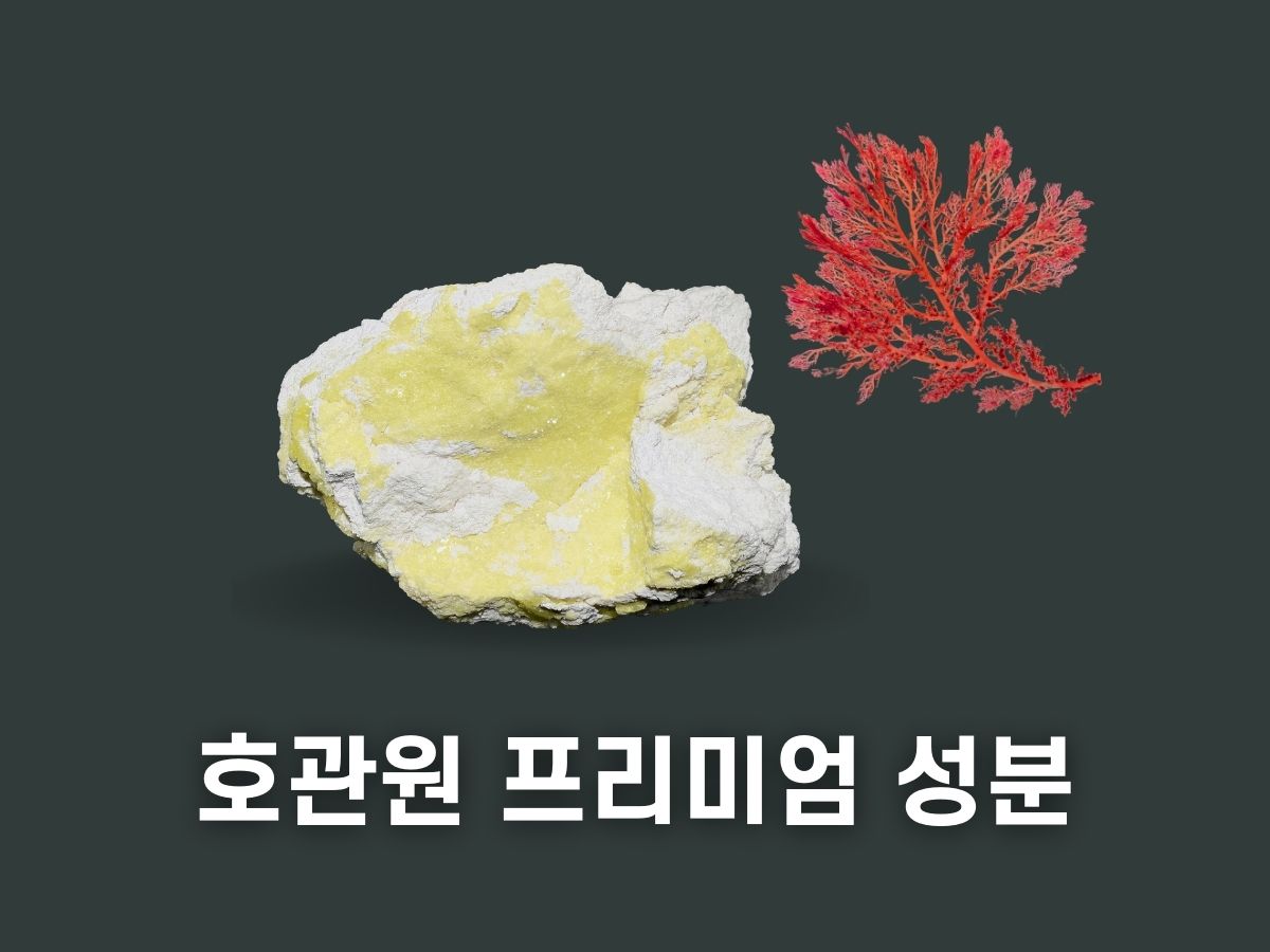 호관원 프리미엄 성분