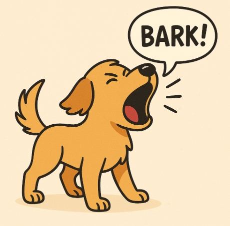 강아지가 밤에 더 많이 짖는 이유, 보호자가 놓치는 5가지 원인