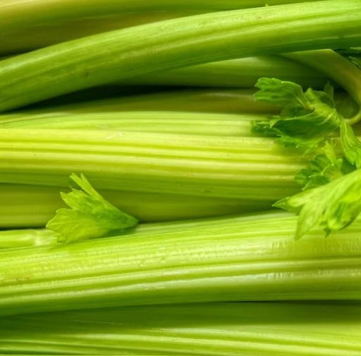 치주염에 좋은 음식 10가지