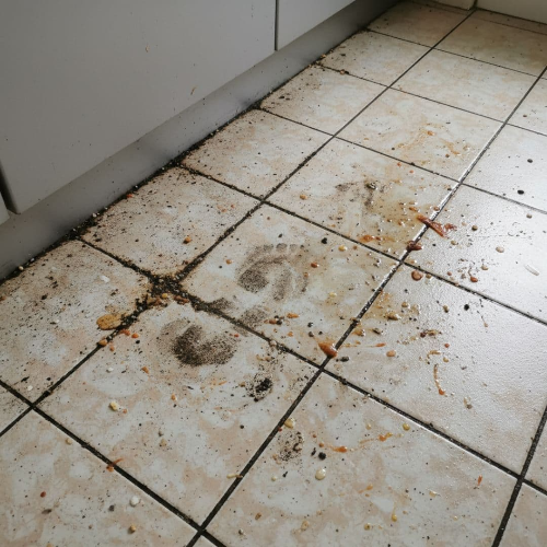 주방 바닥 청소, 미끄러움 방지하고 깨끗하게 유지하는 법