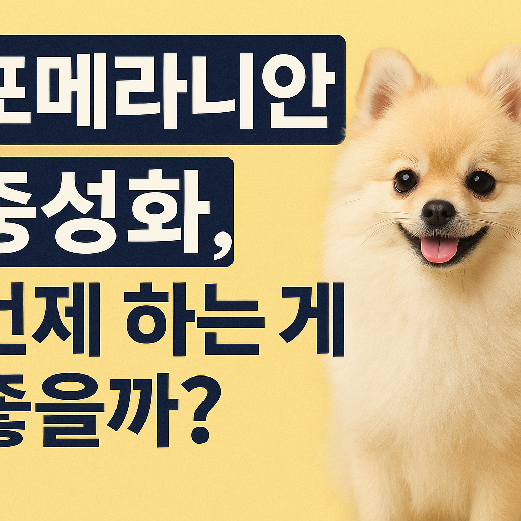 포메라니안 중성화