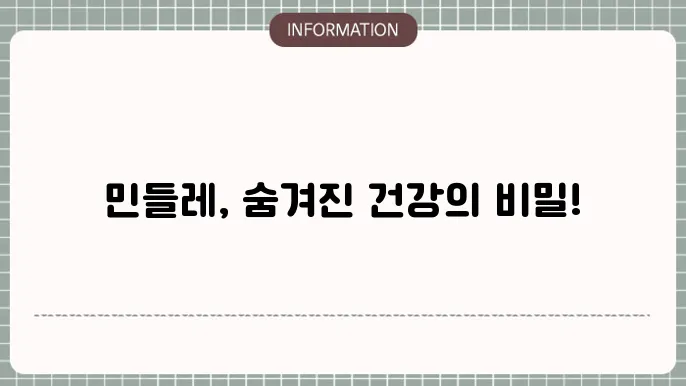 민들레차 만드는 법