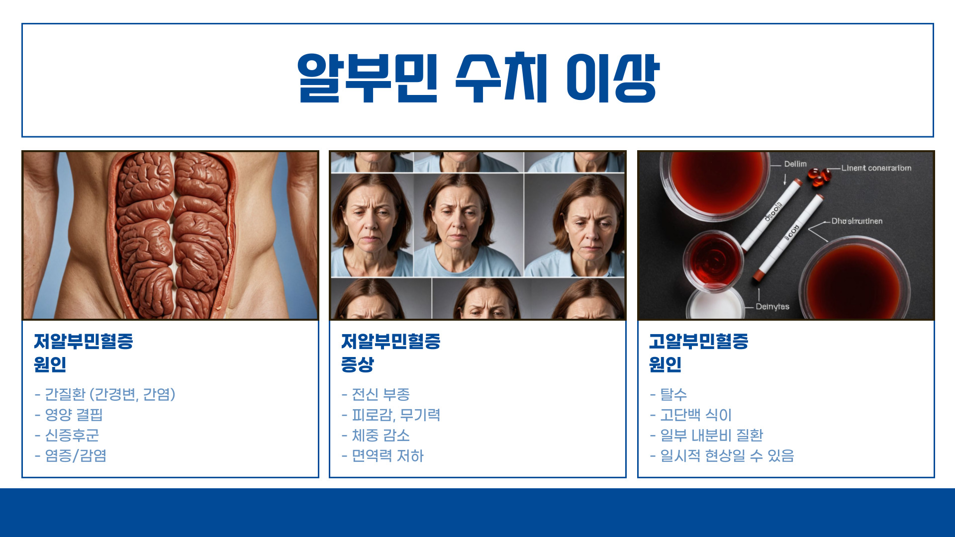 알부민