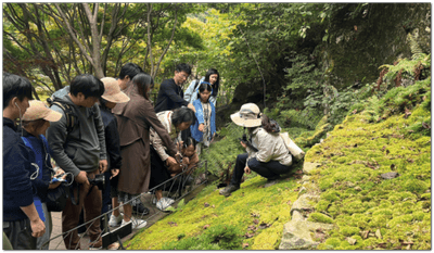 테마가 있는 숲(생물)