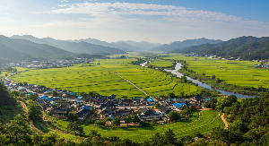 효도 여행지 추천 TOP5, 부모님 감동시킬 국내 명소 강원도정선