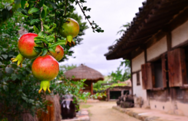 낙안읍성민속마을 전경