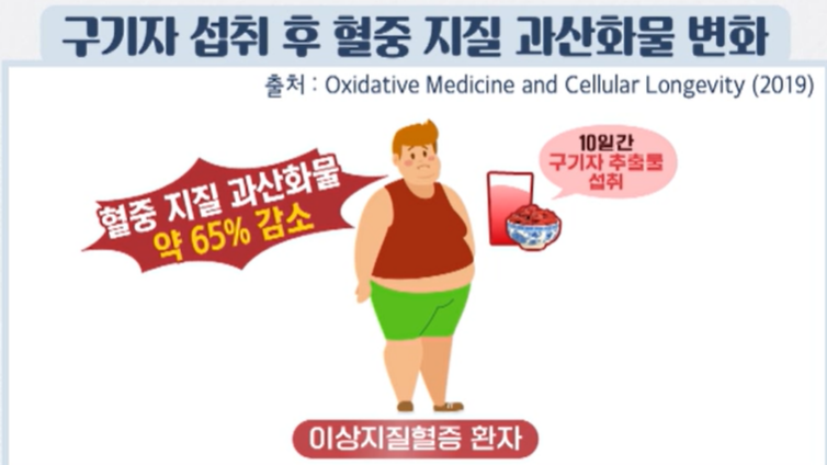 구기자 효능