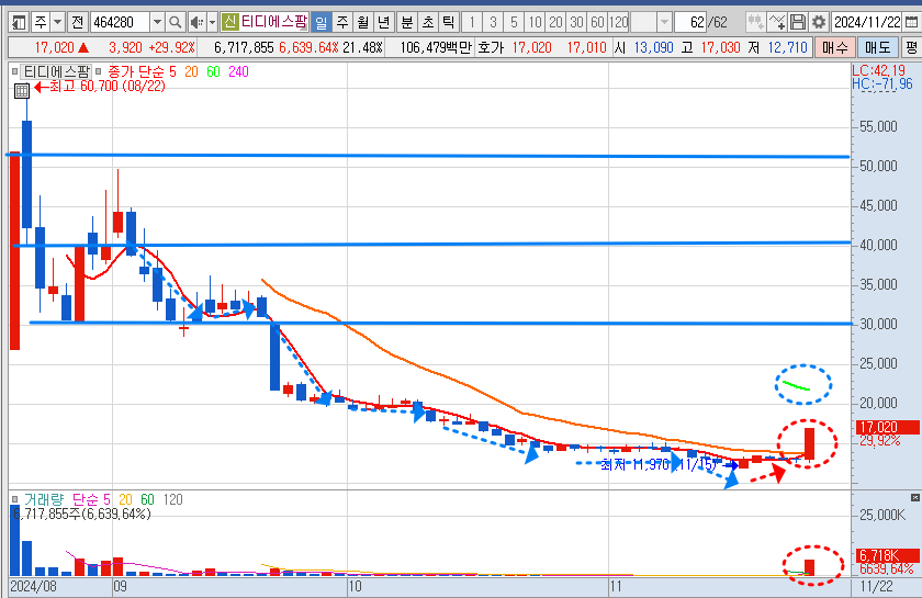 티디에스팜 일봉 차트 분석